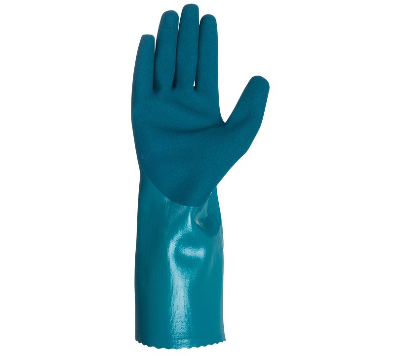 5813-palma.png (294 KB)